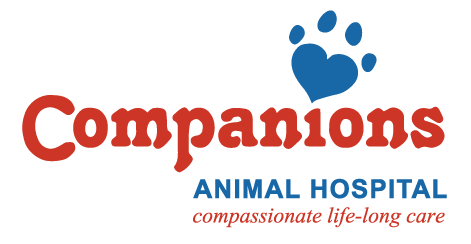 Companions Animal Hospital Home
