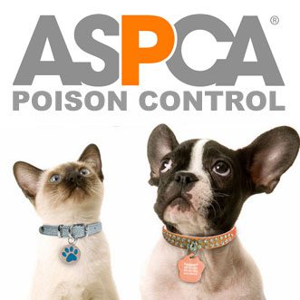 Link to ASPCA Poison Control Website