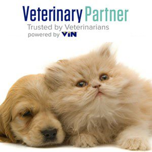 Link to Veterinary Partner Website