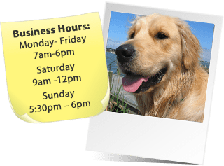 Our Business Hours